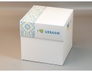Коробка подарункова "УКРАЇНА", 16х16х16 см